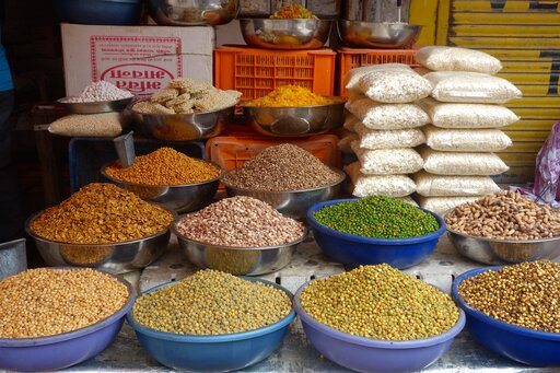 Rajasthan et Sud de l'Inde